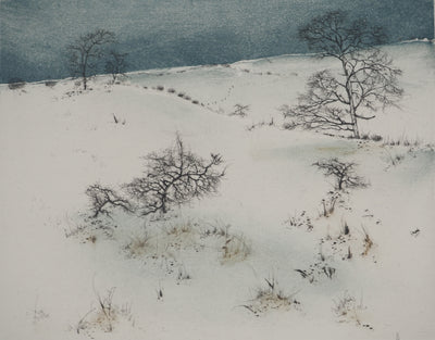 Bernard LOUEDIN : Paysage hivernal, Gravure signée