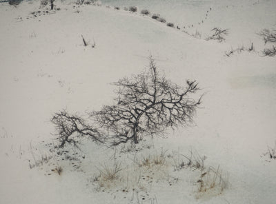 Bernard LOUEDIN : Paysage hivernal, Gravure signée