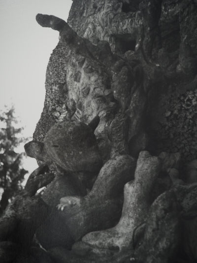 Dora MAAR : Le Palais sculpté, Photographie originale