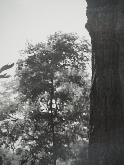 Dora MAAR : L'envolée, Photographie originale