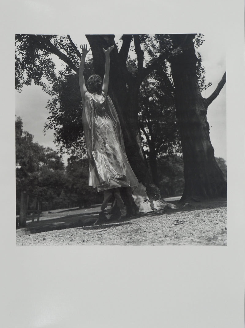 Dora MAAR : Reconnexion avec la nature, Photographie originale