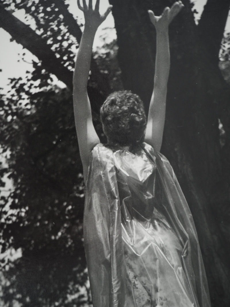 Dora MAAR : Reconnexion avec la nature, Photographie originale