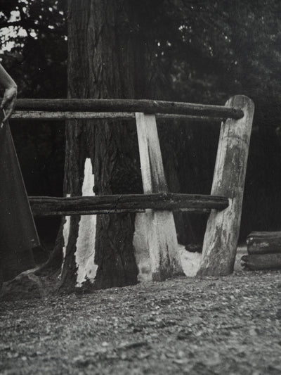 Dora MAAR : Libération du corps par la danse, Photographie originale