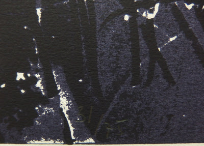 Lamill MAJOR : Silhouette dans l'ombr, Sérigraphie originale (photo de détail 4) - Crédit photo : Galerie Art.Paris