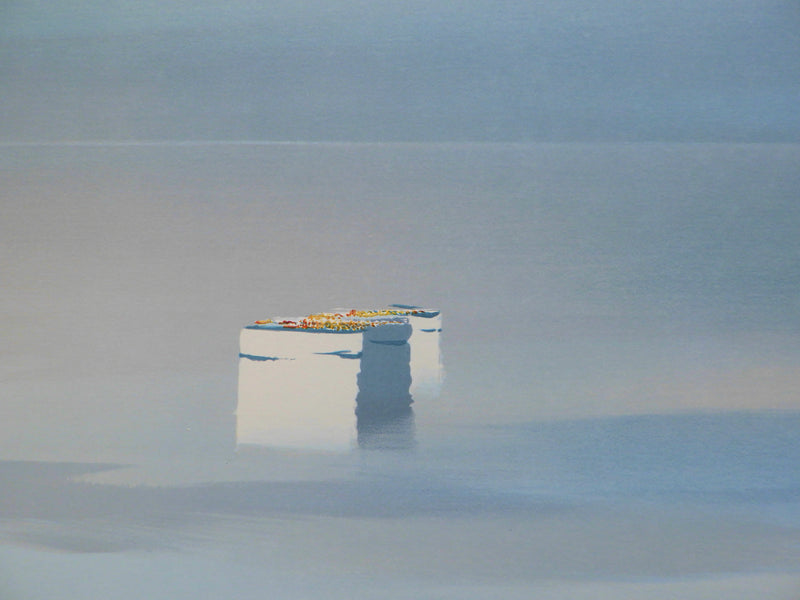  DENOEL : Lac Léman au petit matin, Lithographie originale (photo de détail 6) - Crédit photo : Galerie Art.Paris