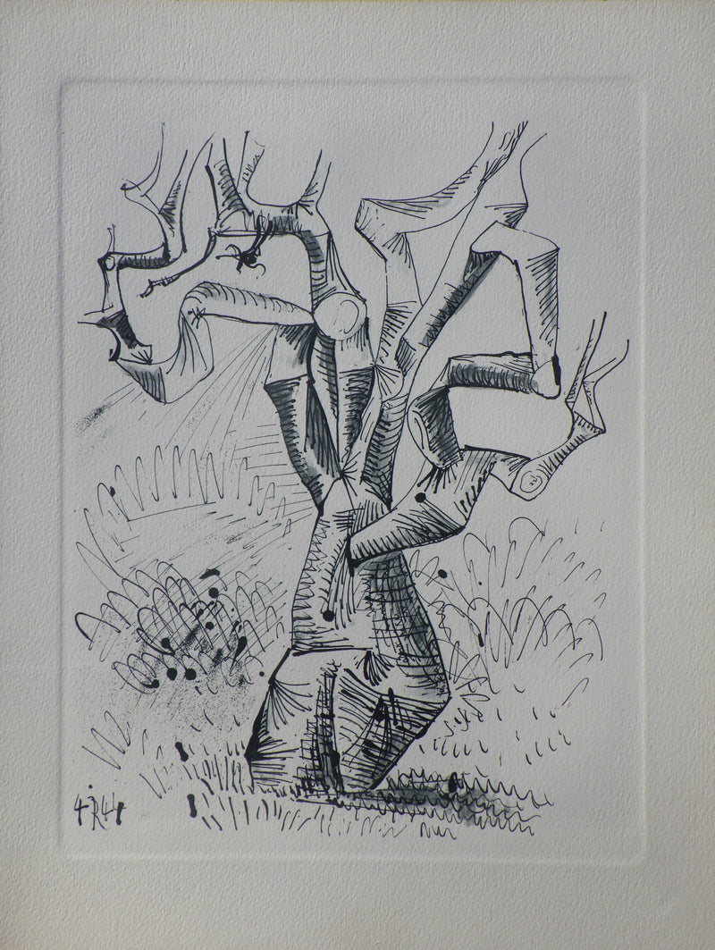 Pablo PICASSO : Le vieil arbre en hiver, Héliogravure