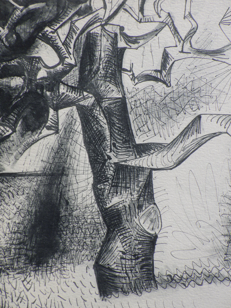 Pablo PICASSO : Le vieil arbre mort, Héliogravure