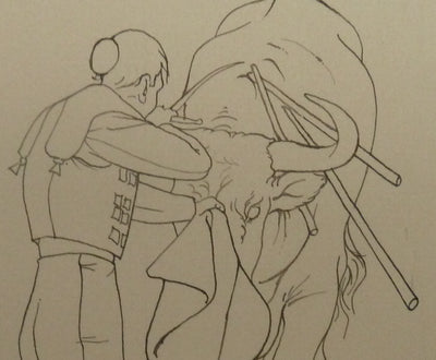 Pierre-Yves TREMOIS : Face à face avec le taureau, Dessin original (photo de détail 4) - Crédit photo : Galerie Art.Paris