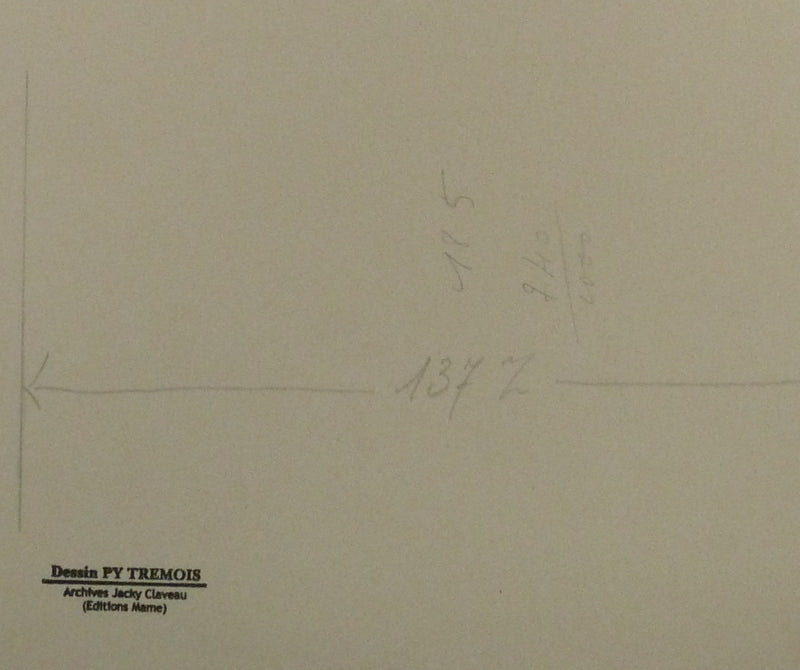 Pierre-Yves TREMOIS : Portrait de Maria, Dessin original (photo de détail 2) - Crédit photo : Galerie Art.Paris