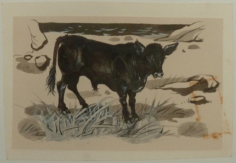 Pierre-Yves TREMOIS : Jeune veau dans le pré, Dessin original (vue générale) - Crédit photo : Galerie Art.Paris
