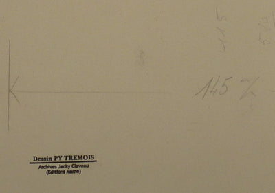 Pierre-Yves TREMOIS : Le toréador vaincu, Dessin original (photo de détail 2) - Crédit photo : Galerie Art.Paris