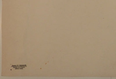 Pierre-Yves TREMOIS : Traversée du désert, Dessin original (photo de détail 2) - Crédit photo : Galerie Art.Paris