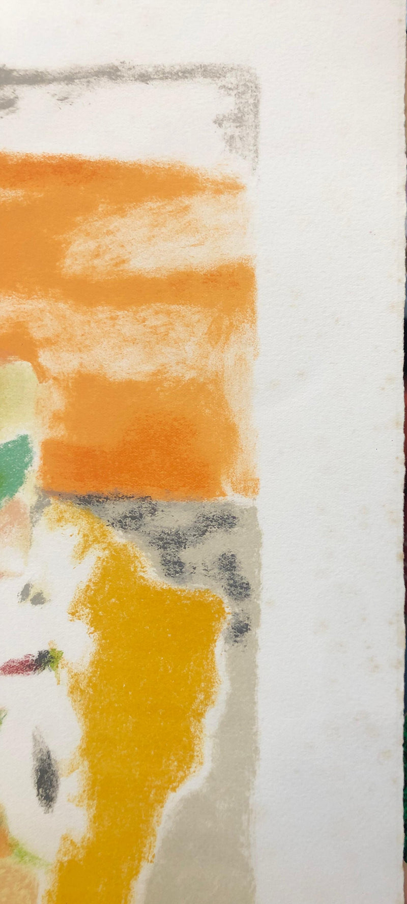 BT Jules CAVAILLES, Früchte und Tannenzapfen, Original signierte Lithographie