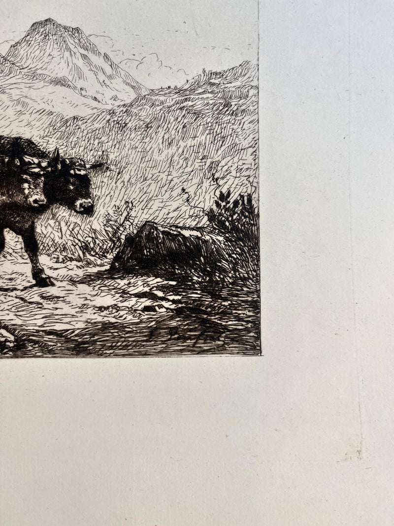 Felix BRISSOT DE WARWILLE : Attelage de bœufs en Normandie, Gravure originale signée
