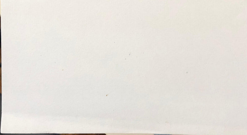 BT François DESNOYER: Häuser in der Camargue, Lithographie mit Bleistift signiert
