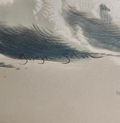 Joseph FELON : La naissance de Vénus, Lithographie originale signée