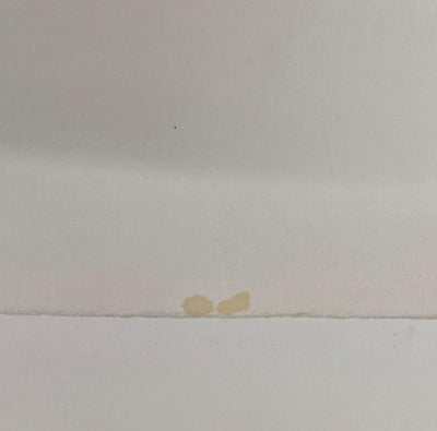 Omer RESIC : Mexique, les Piments, Lithographie originale signée