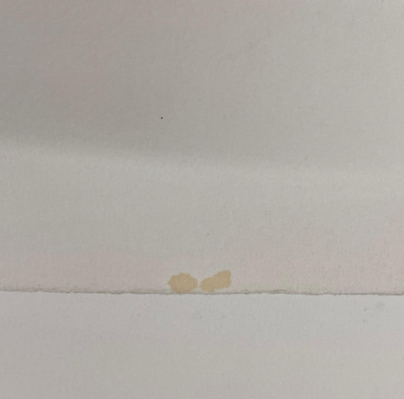 Omer RESIC : Mexique, les Piments, Lithographie originale signée