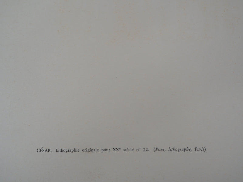 CESAR : Strates, Lithographie originale