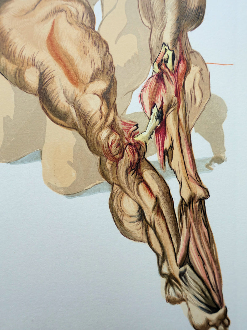 Salvador DALI : Divine Comédie, Enfer 7, Les avares et les prodigues, Gravure sur bois originale (photo de détail 4) - Crédit photo : Galerie Art.Paris
