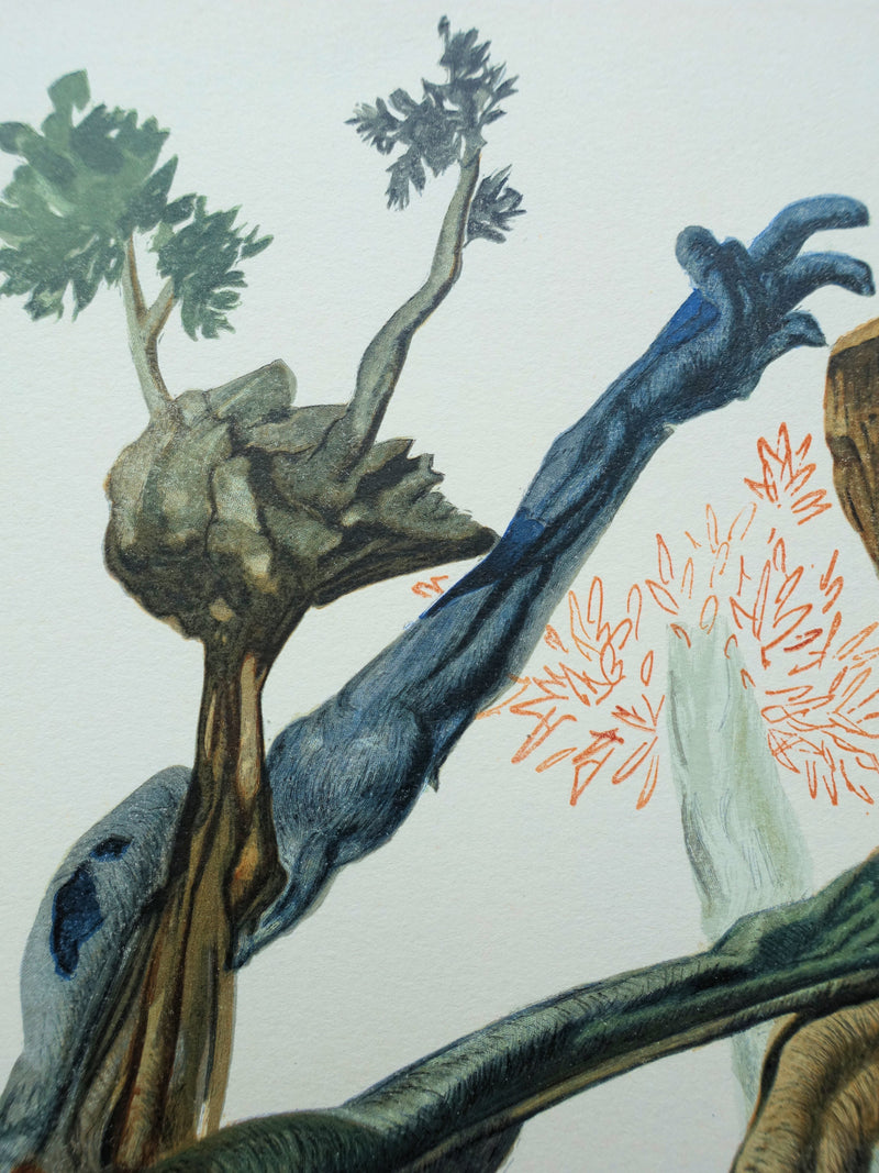Salvador DALI : Divine Comédie, Enfer 13, La forêt des suicidés, Gravure sur bois originale (photo de détail 4) - Crédit photo : Galerie Art.Paris