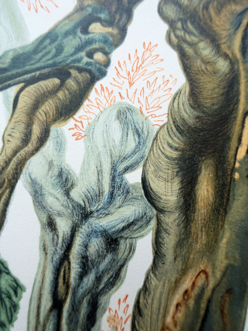Salvador DALI : Divine Comédie, Enfer 13, La forêt des suicidés, Gravure sur bois originale (photo de détail 5) - Crédit photo : Galerie Art.Paris