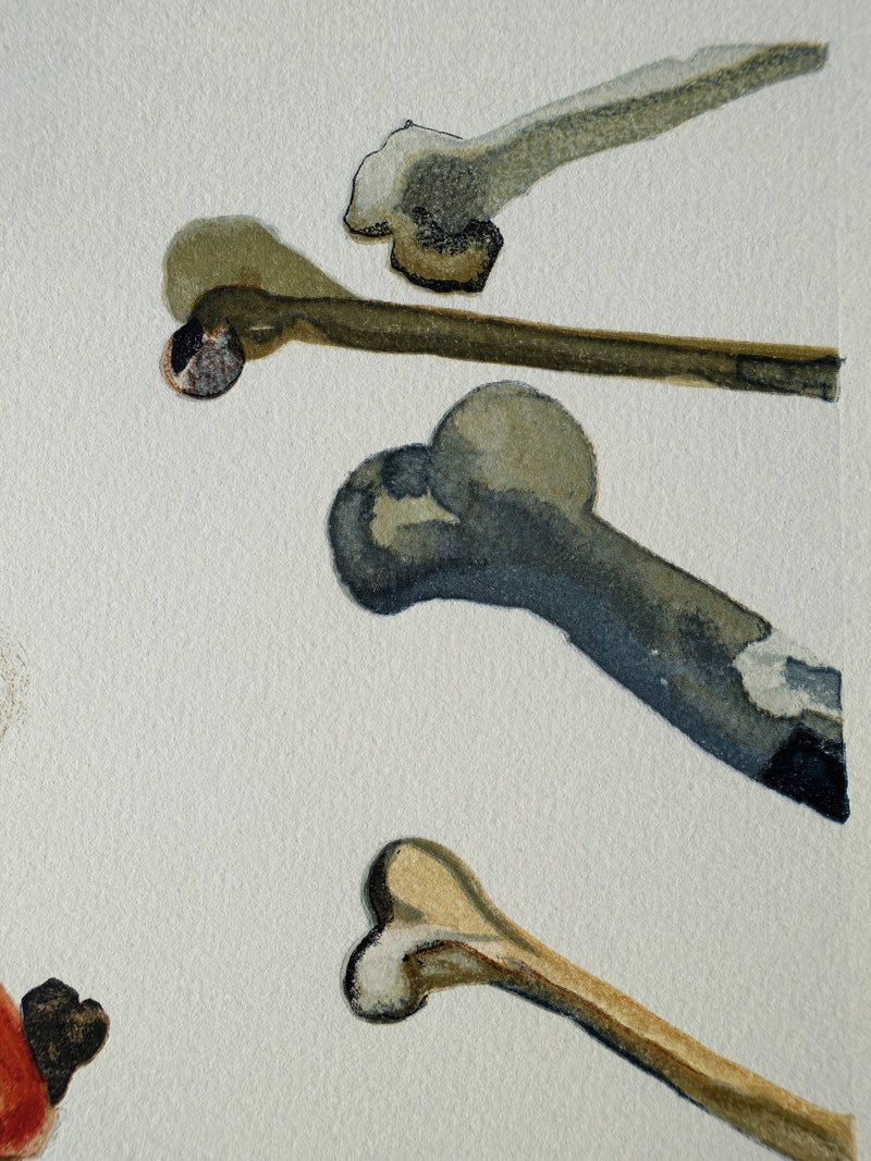 Salvador DALI : Divine Comédie, Enfer 18, Les trompeurs, Gravure sur bois originale (photo de détail 5) - Crédit photo : Galerie Art.Paris