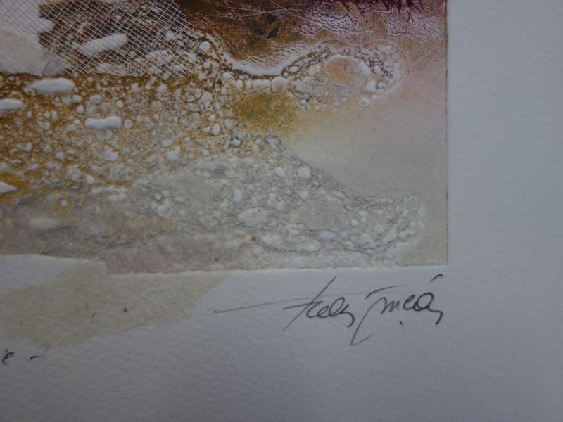 BT Francis MEAN: Flowery Valley, Original signierter Kupferstich