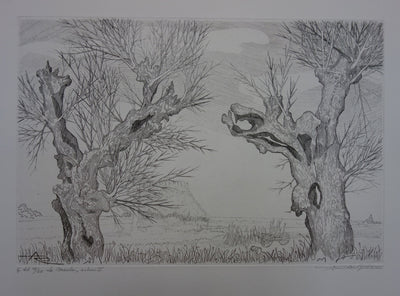 André Roland BRUDIEUX : Les vieux arbres noueux, Gravure originale signée