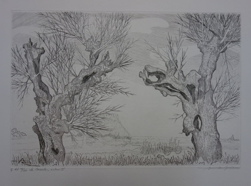 André Roland BRUDIEUX : Les vieux arbres noueux, Gravure originale signée