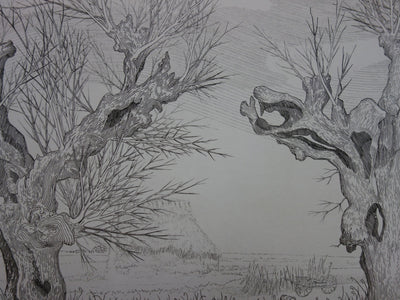 André Roland BRUDIEUX : Les vieux arbres noueux, Gravure originale signée