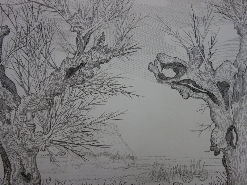 André Roland BRUDIEUX : Les vieux arbres noueux, Gravure originale signée