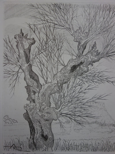André Roland BRUDIEUX : Les vieux arbres noueux, Gravure originale signée
