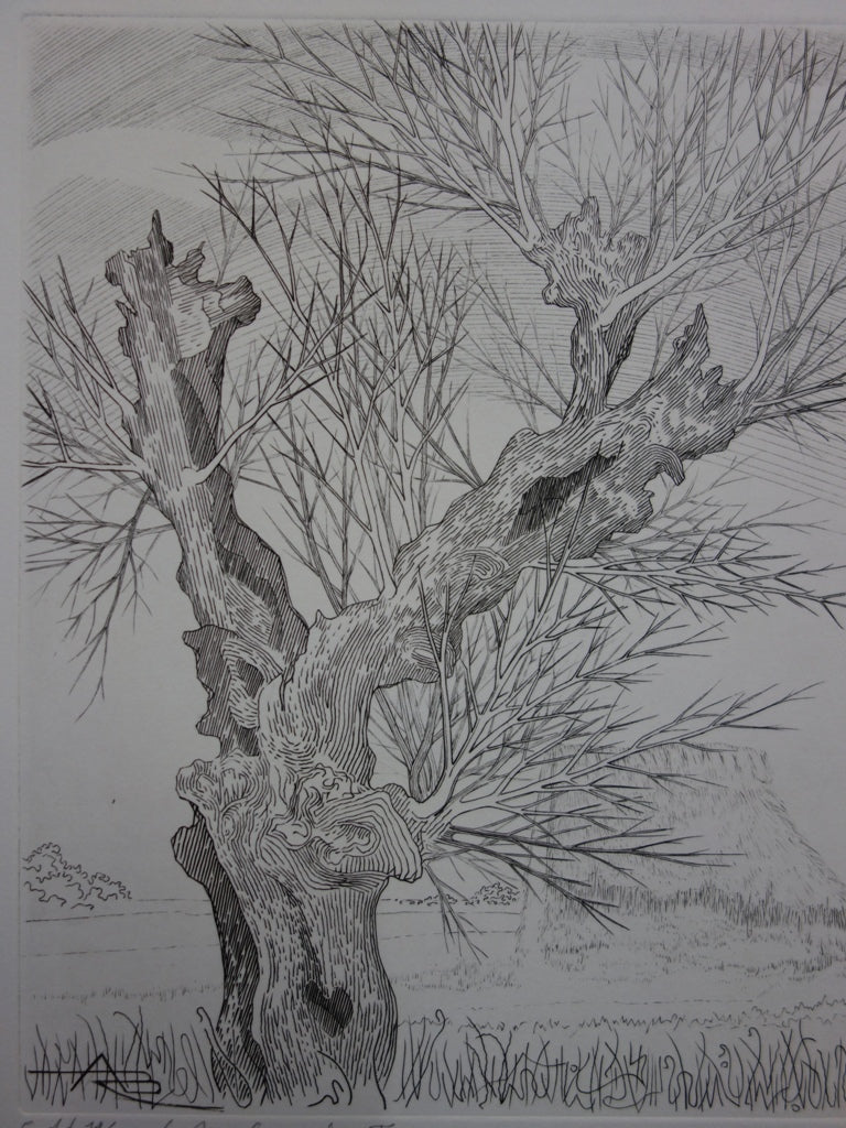 André Roland BRUDIEUX : Les vieux arbres noueux, Gravure originale signée