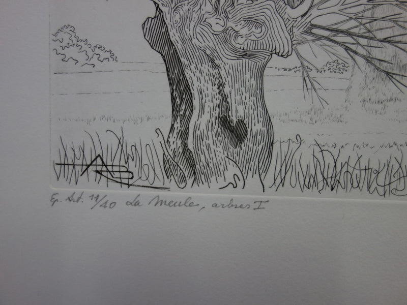 André Roland BRUDIEUX : Les vieux arbres noueux, Gravure originale signée