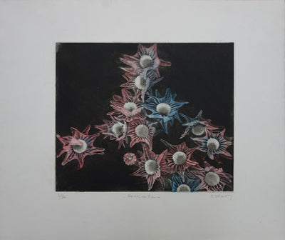 Simone VRAIN : Edelweiss, Gravure originale signée