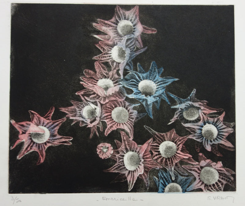 Simone VRAIN : Edelweiss, Gravure originale signée