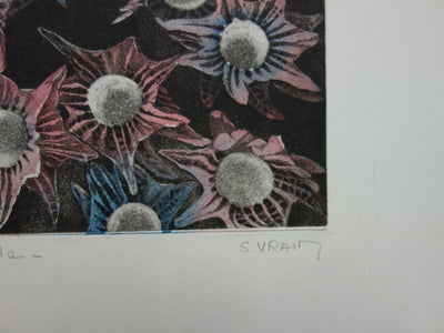 Simone VRAIN : Edelweiss, Gravure originale signée