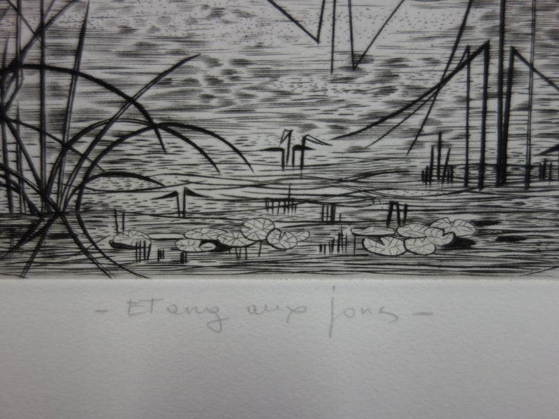 Simone VRAIN : Étang aux joncs, Gravure originale signée