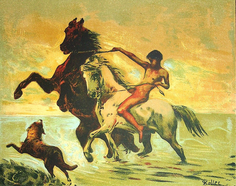 Rudolf KOLLER : Les chevaux galopant dans l&