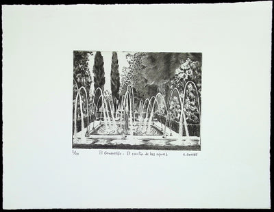 Camille COMBE : El Generalife: El cantal de las aguas, Gravure originale (vue générale) - Crédit photo : Galerie Art.Paris