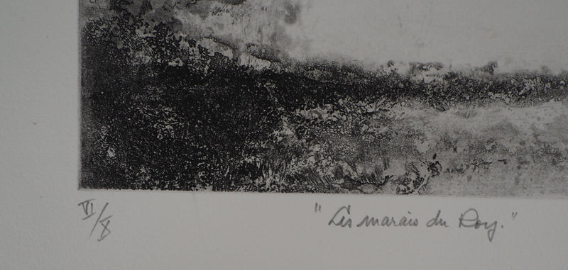 Luc GERBIER : Les marais du Roy, Gravure originale signée