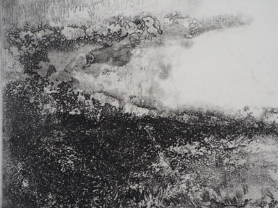 Luc GERBIER : Les marais du Roy, Gravure originale signée
