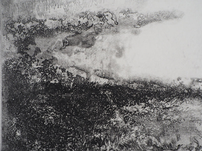 Luc GERBIER : Les marais du Roy, Gravure originale signée