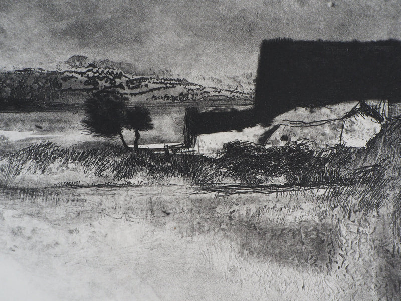 Luc GERBIER : Les marais du Roy, Gravure originale signée