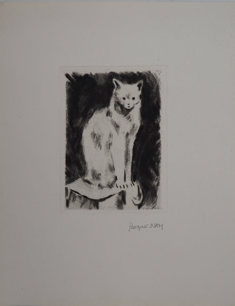 Jacques NAM : Chat persan, Gravure originale signée