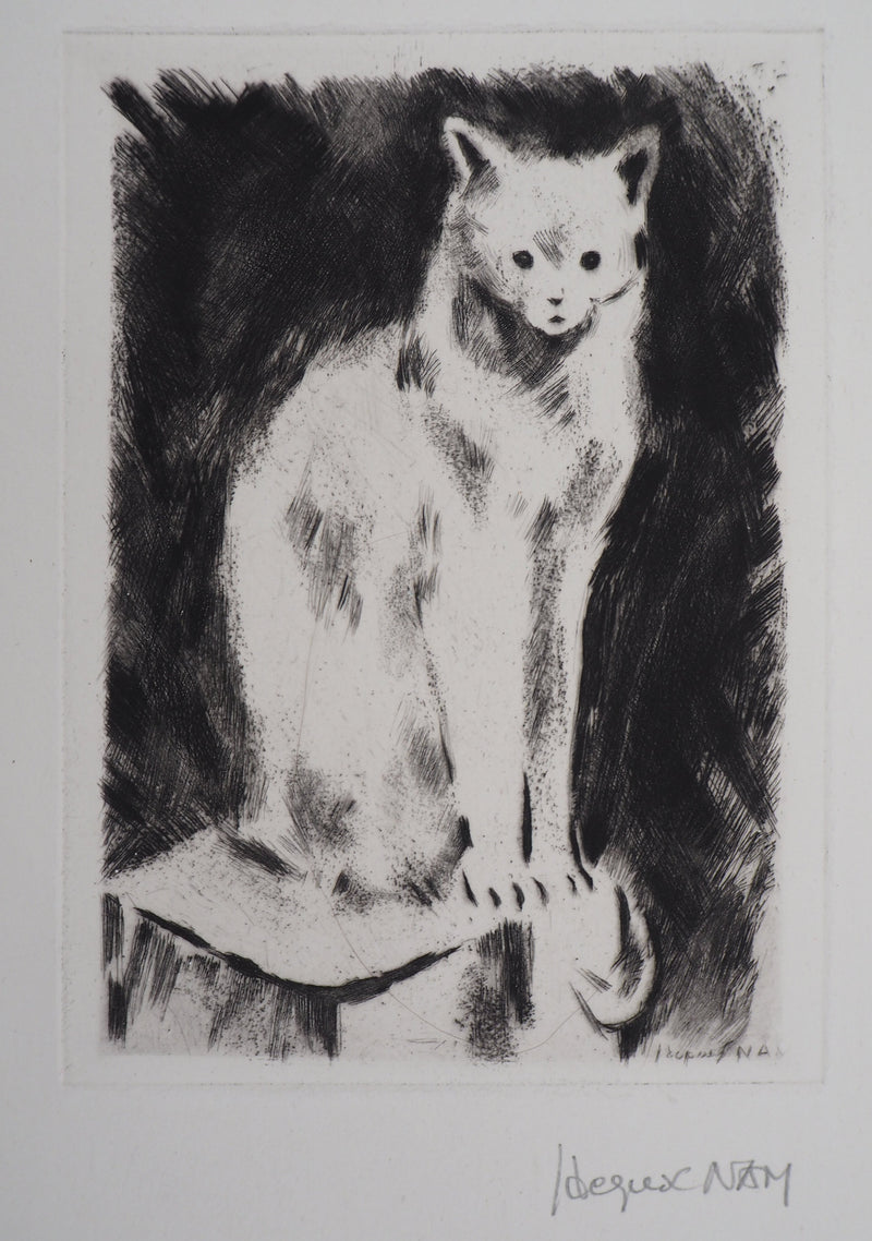 Jacques NAM : Chat persan, Gravure originale signée