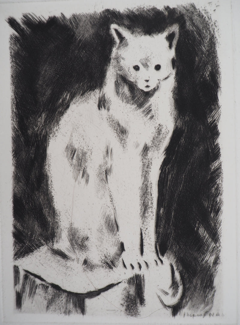Jacques NAM : Chat persan, Gravure originale signée