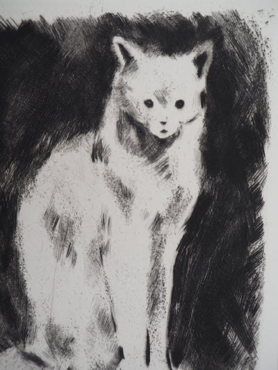 Jacques NAM : Chat persan, Gravure originale signée