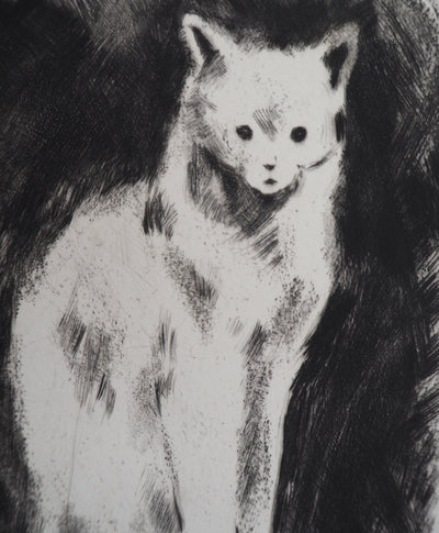 Jacques NAM : Chat persan, Gravure originale signée